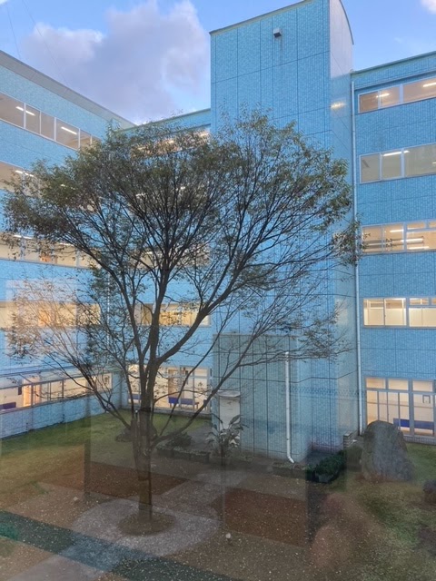 寒くなりました