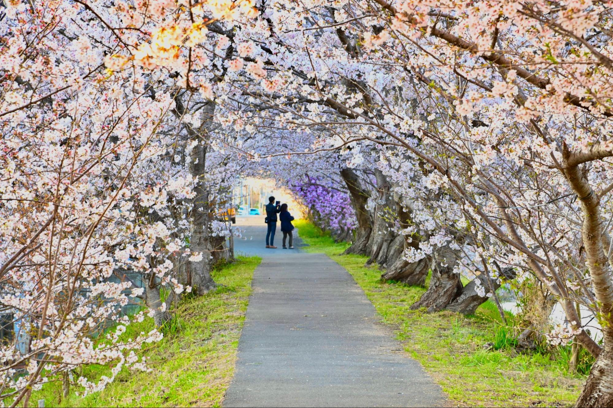 １年間を振り返って・・・