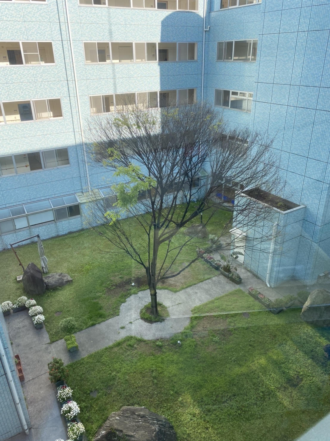 新緑の季節🍃担当:介護🍃