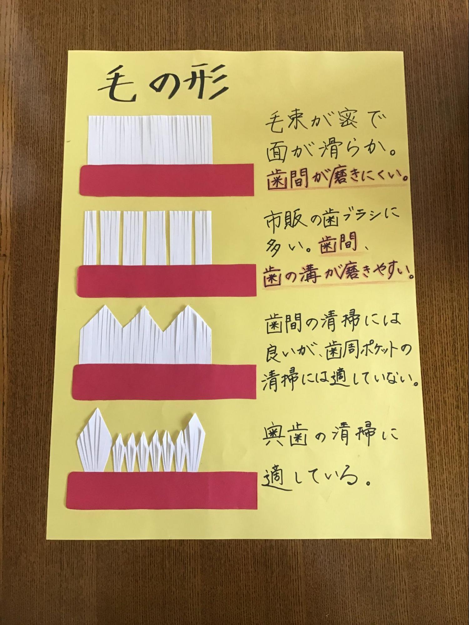 歯ブラシの選び方🦷担当:リハビリテーション課🦷