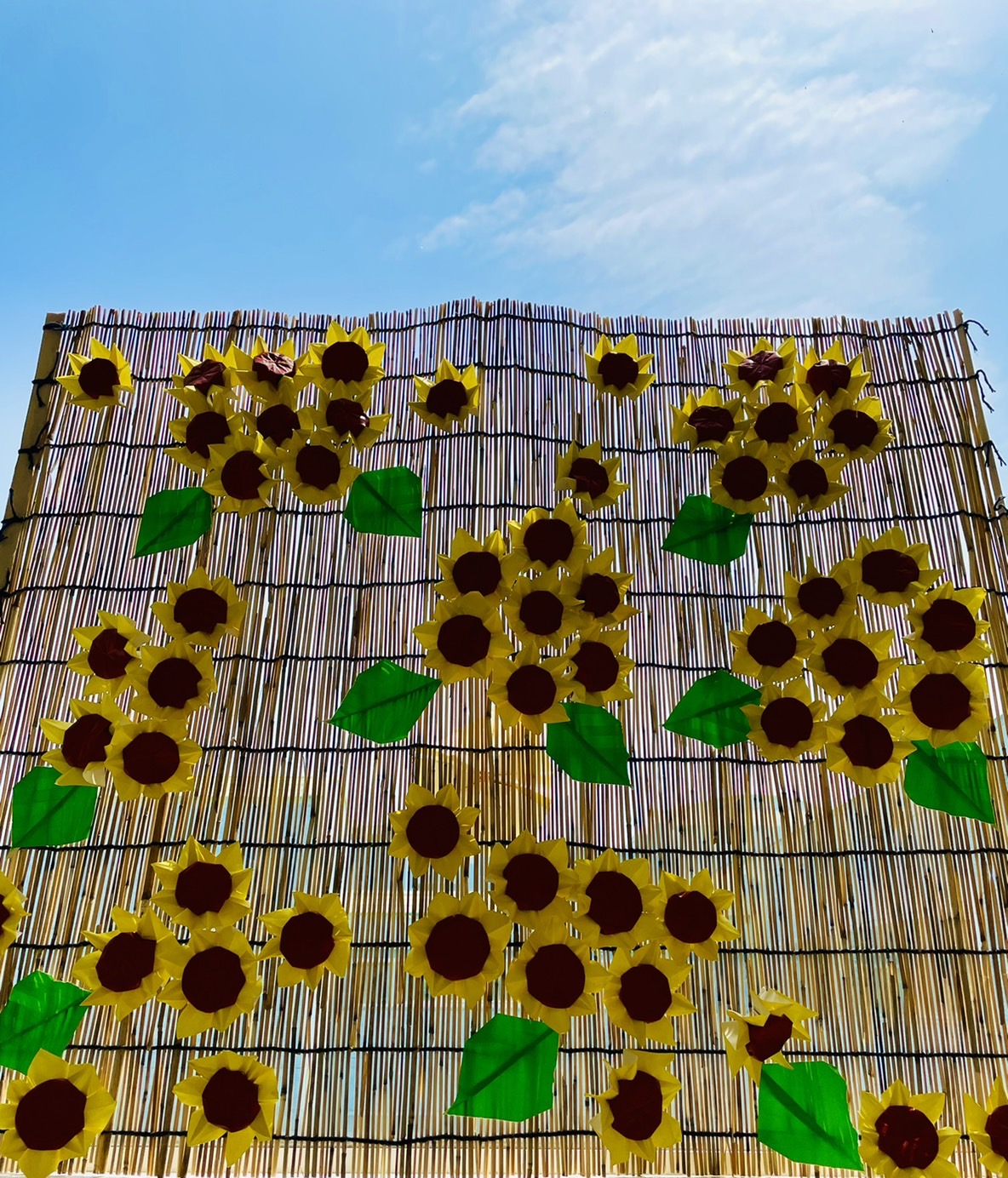 夏の花といえば・・・🌻担当:介護🌻