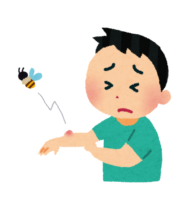 暑中お見舞い申し上げます🎐🌻担当：診療情報管理士🎐🌻