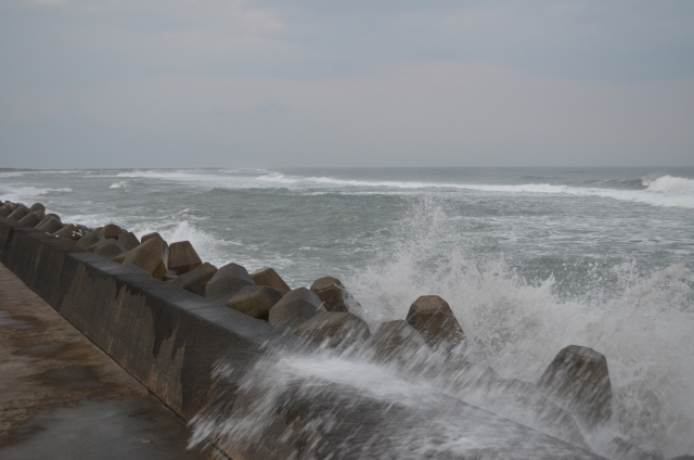 台風の準備🌀担当:地域連携室