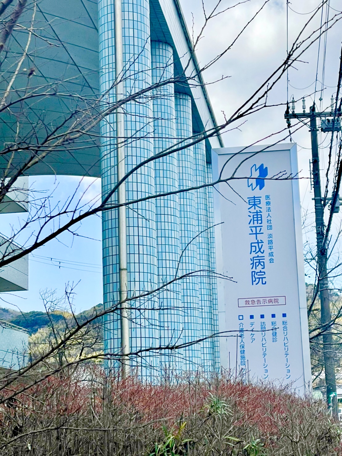 うるう年の豆知識☆