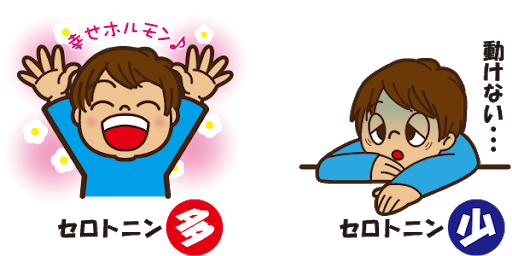 セロトニン✨