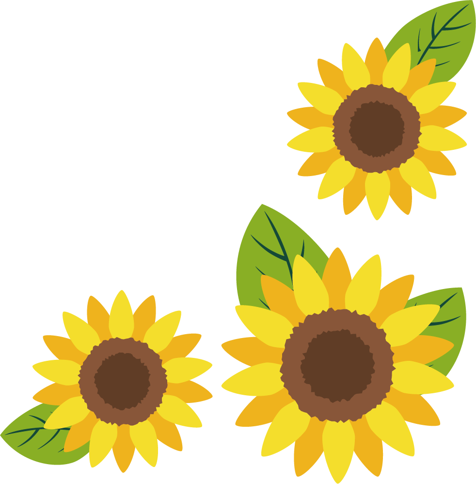 7月11日はこんな日🌻