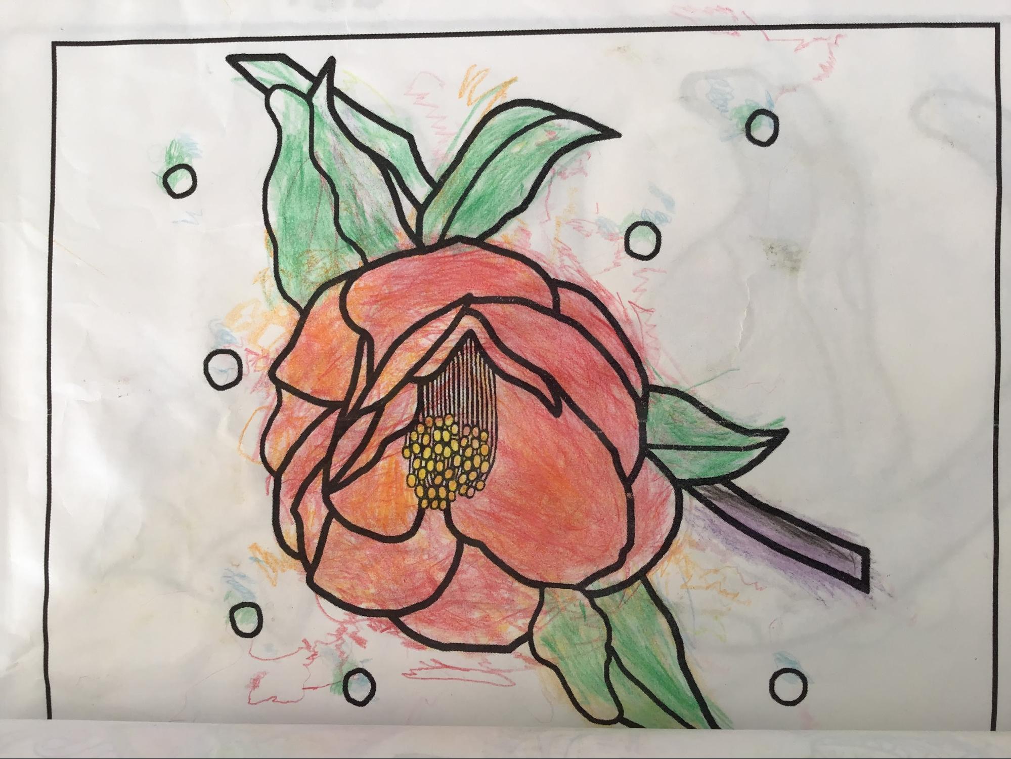 塗り絵について